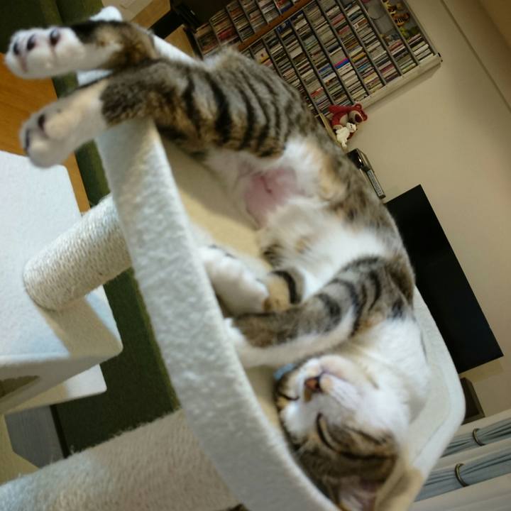 E9df1a91 bdfd 4709 9bdc 0bd11b7f8c23