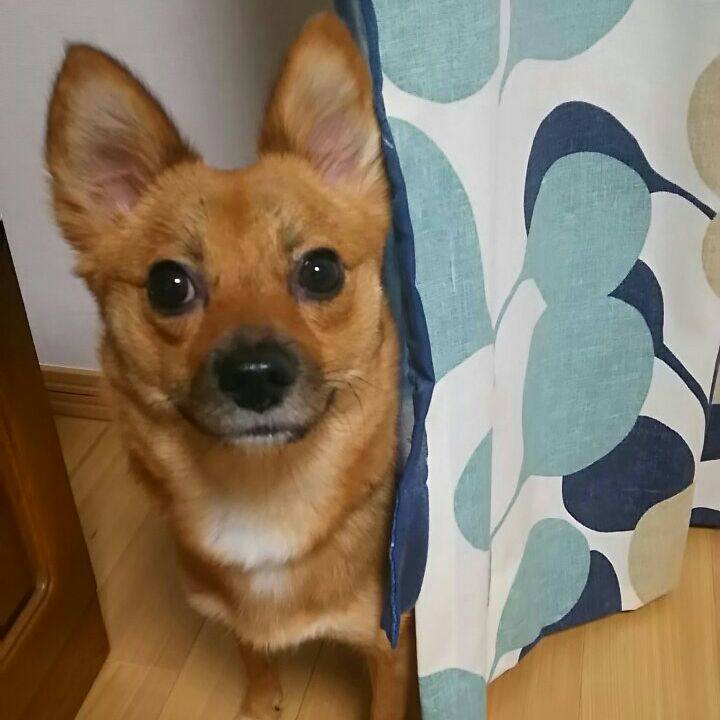 E9df7124 3c5e 42a8 959c b397445e7e00