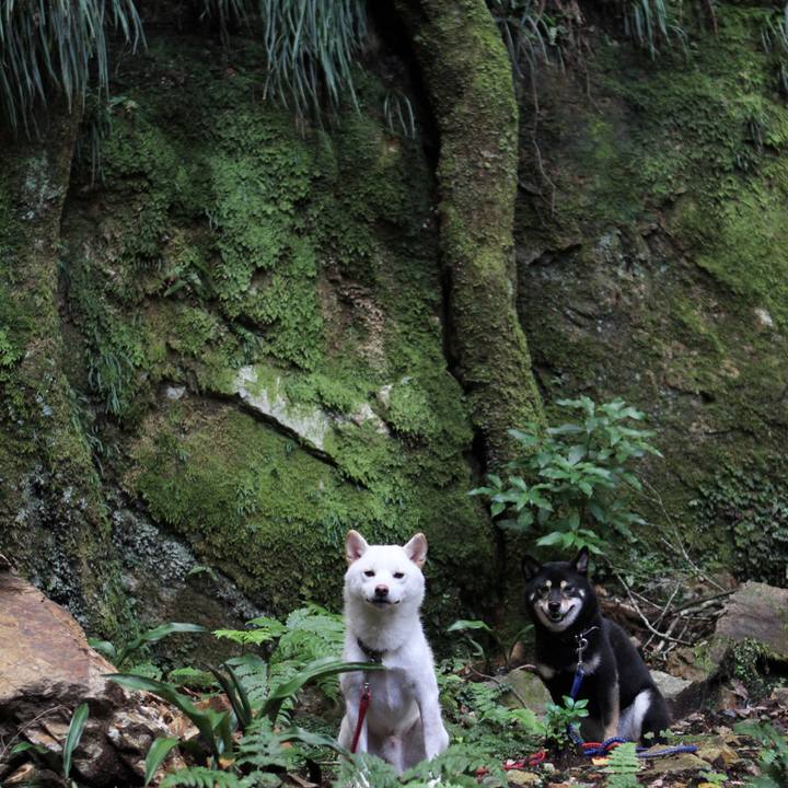 E9df912e 24b3 4c4d 8bd9 097c1d1cc867