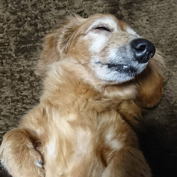 E9e04f39 f958 489d 8e54 b1f2255dab71