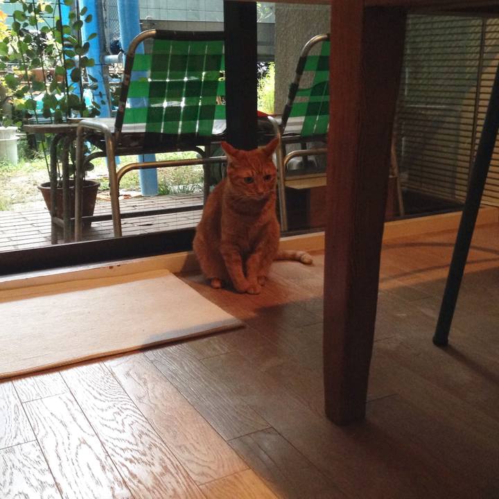 E9e06a38 9b28 4b50 97f4 d956c116ce46