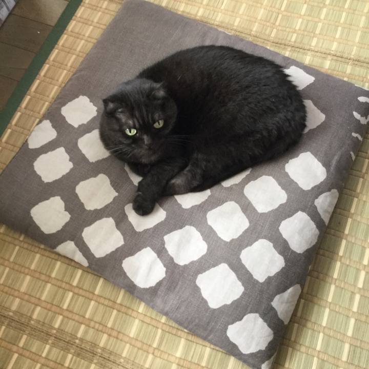 E9e0c8c4 232d 4a70 8df6 8af3c90fc141