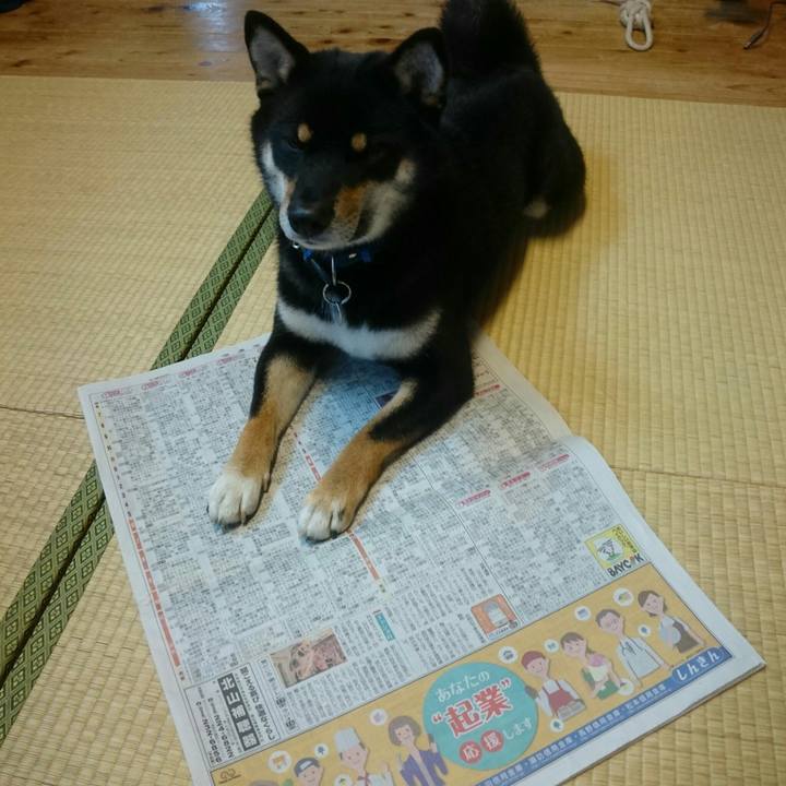 E9e178b0 d49f 4a1f b866 4d8545bad202