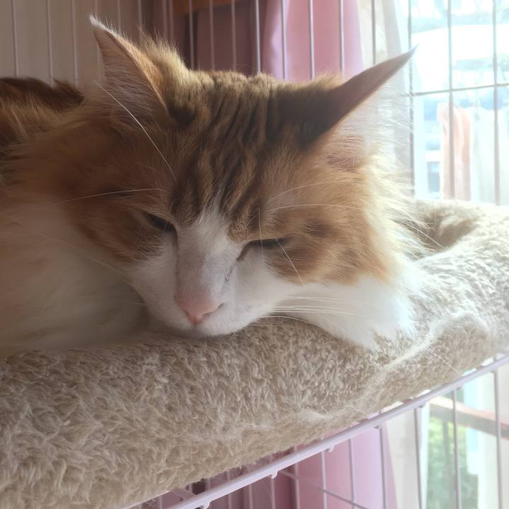 E9e188ec acc9 497f bebd 3c13fdd7090d