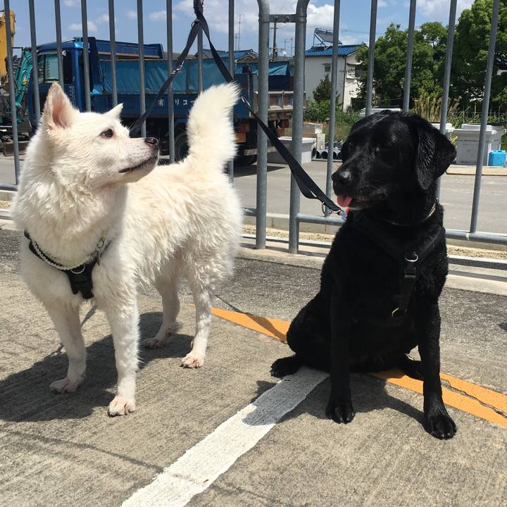 E9e1de8e 55a5 4c96 9c73 b04c4dfcec32