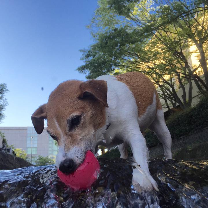 E9e27749 dc9f 4fec bb6d daac31ce2d9b