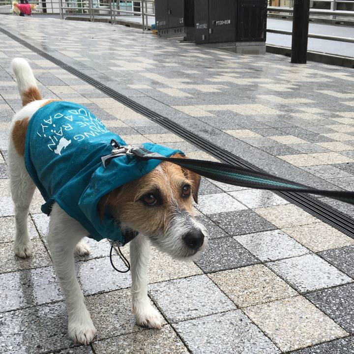 E9e2ffa9 dee7 4bb0 a258 1a1d198abef4