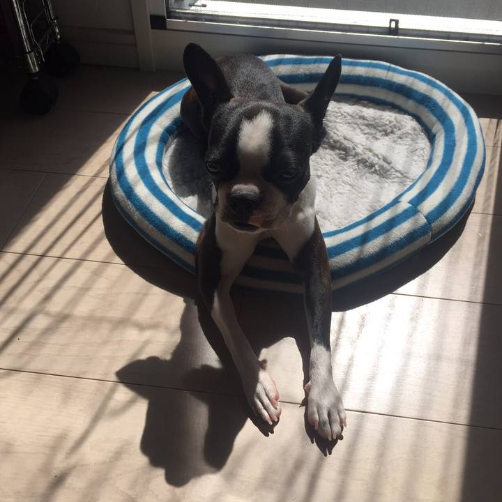 E9e31cd8 0835 4348 8dfa 313c408f7c0c