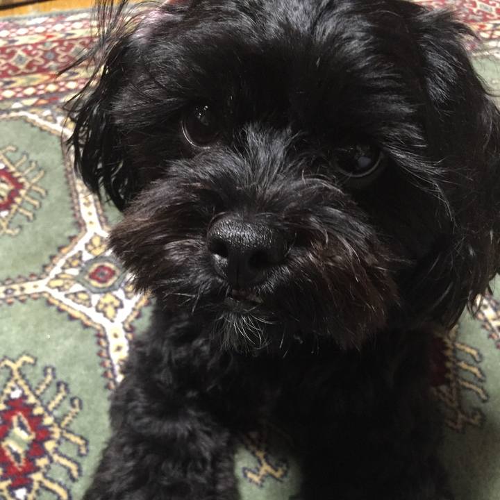 E9e35c31 ef6f 45d1 b294 e24821ae4ca3