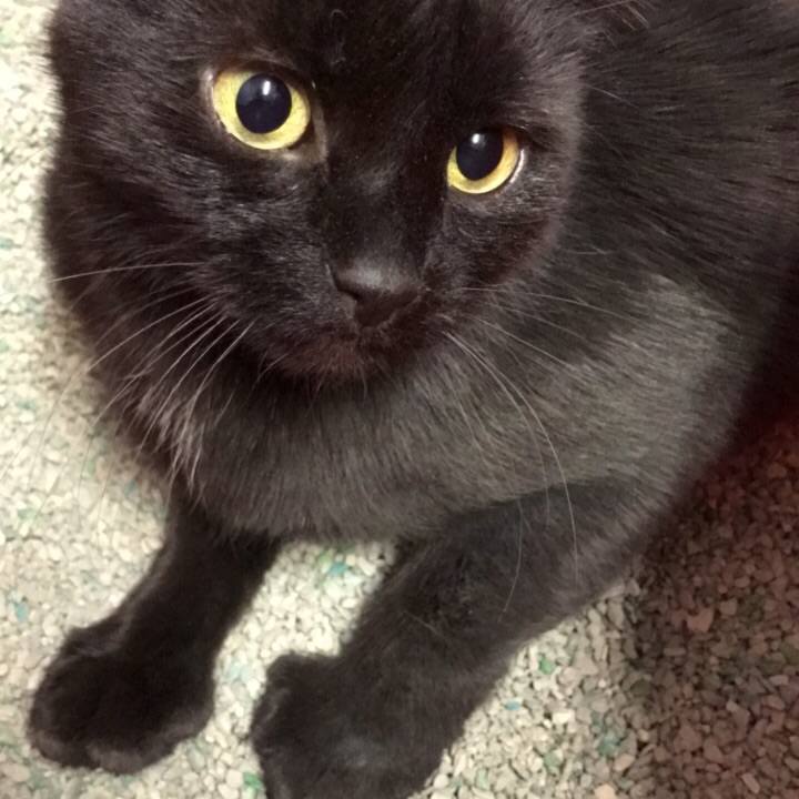 E9e35fa7 f5a9 4040 89d3 3b951564e24d