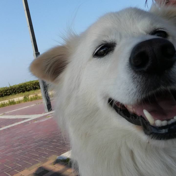 E9e3c90a ea9e 4773 8066 a6741d141786