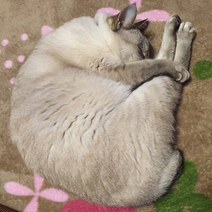 E9e54a92 35f4 4202 99d0 409d5d321aa0