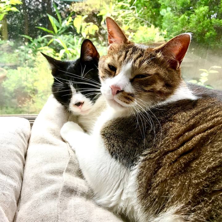 E9e58fe2 d2c3 41ff b408 2307dae2ead7