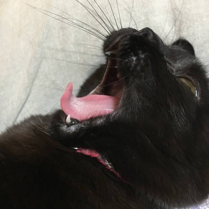 E9e5e131 507a 4e39 8dbd 1a6cc9eb7a41