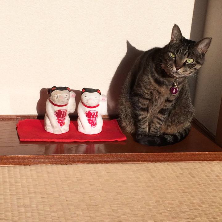 E9e6f13e d4c7 40b8 9901 70b450d89086