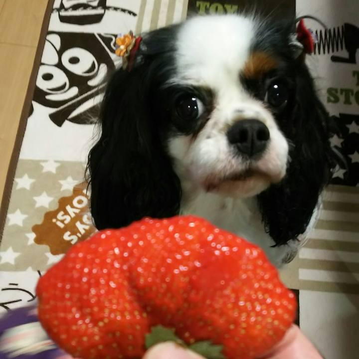 E9e70776 d81c 43c3 84cb 77a90e13d8d2