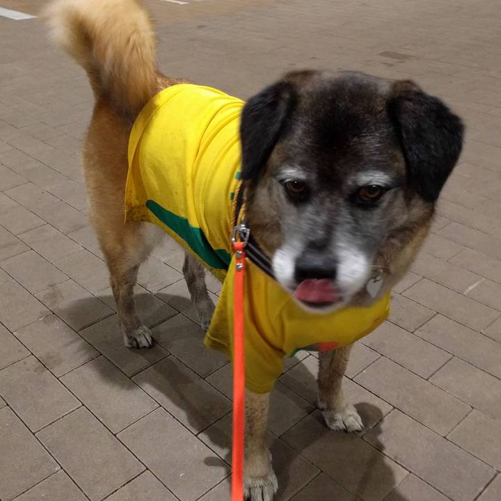 E9e714bb 0b7f 41a4 84b1 8d426b8bf78d