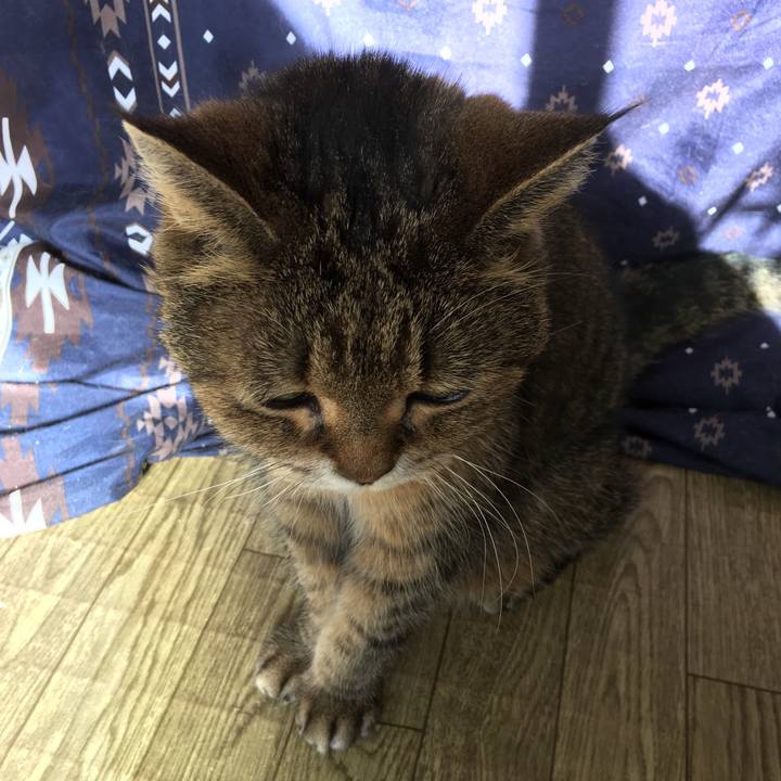 E9e75b44 638b 480a bf27 0e68f5b2e162