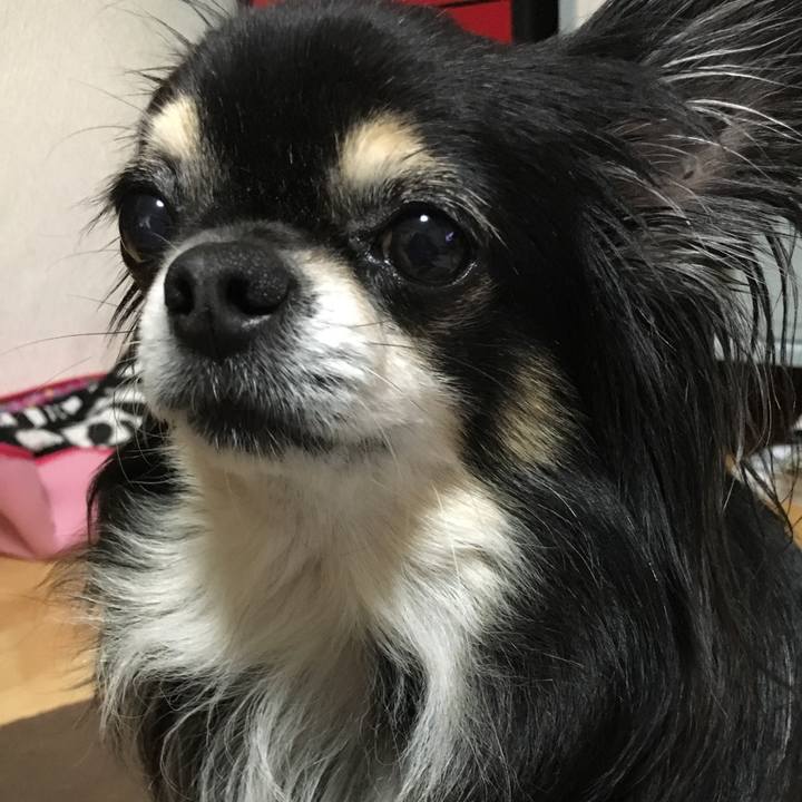 E9e7e914 5e77 43e5 b3f3 85a7fc9365b5