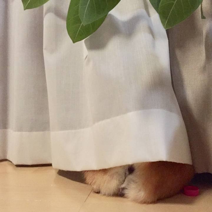 E9e82174 7c94 47fc bdf1 4c434c56f939