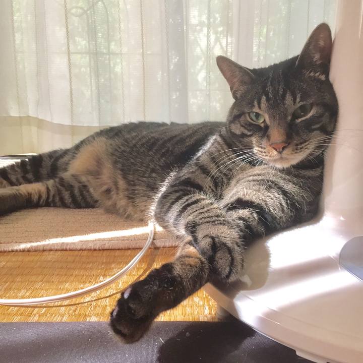 E9e851f6 cd85 4797 9af0 c92dae3f697d