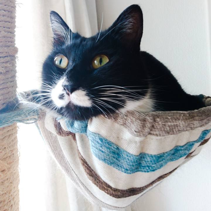 E9e85d86 1c2b 4cda bbe9 d605aae6e1c9