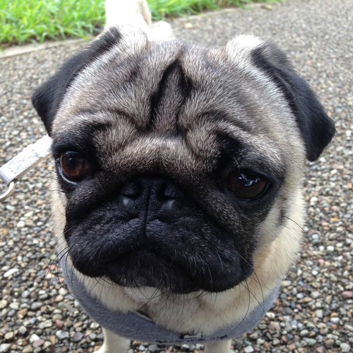 E9e8e57d 797c 42e8 90ea 4ac6b4f9080a