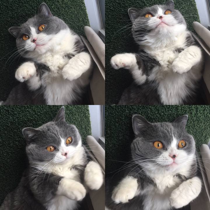 E9e9b32d 7ba0 4ea7 ad8a 7806859ef427