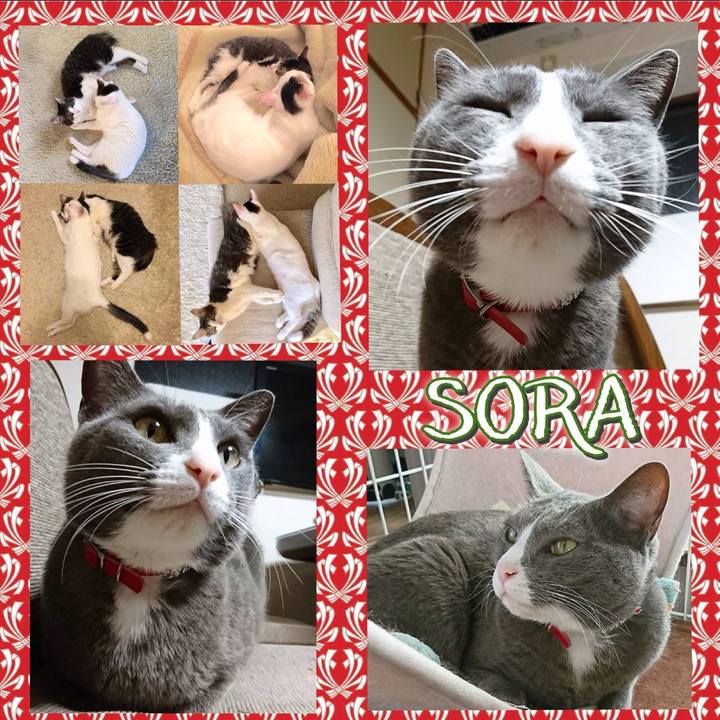 E9e9b41c 2838 4083 8103 f05e6d707e38