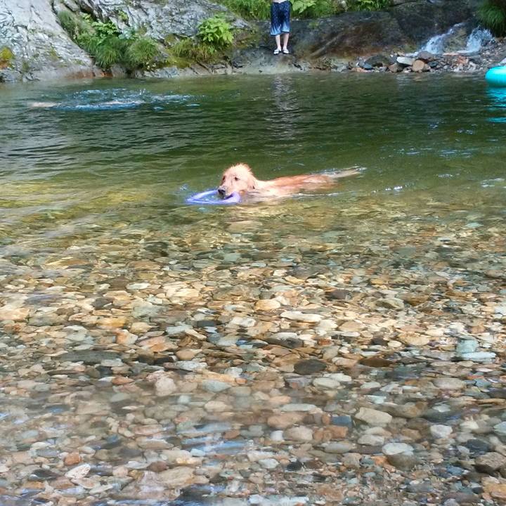 E9e9cedd fa74 46ae adf6 b0a7b9c93a43