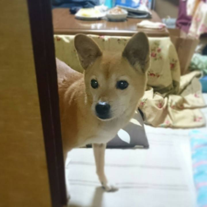 E9eb5b3b a8b8 4cfd 9330 a5aa5080f113