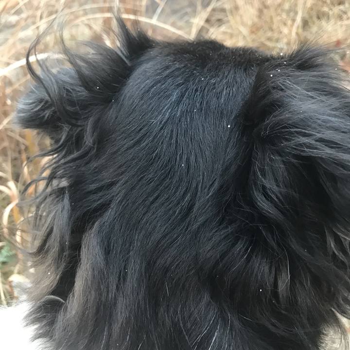 E9ebb3a6 715a 4350 b34c fc0efc85ab8b