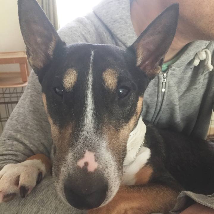 E9ebd6e7 9864 488f 9f72 8ad178aed699