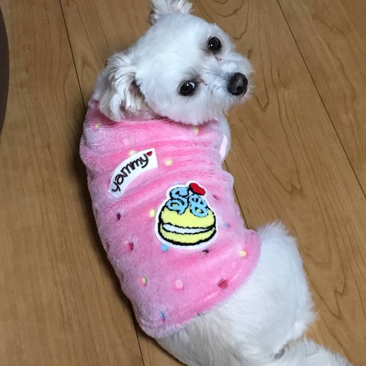 E9ebd9da 8731 40b9 a0d8 bd2a8e2e776d