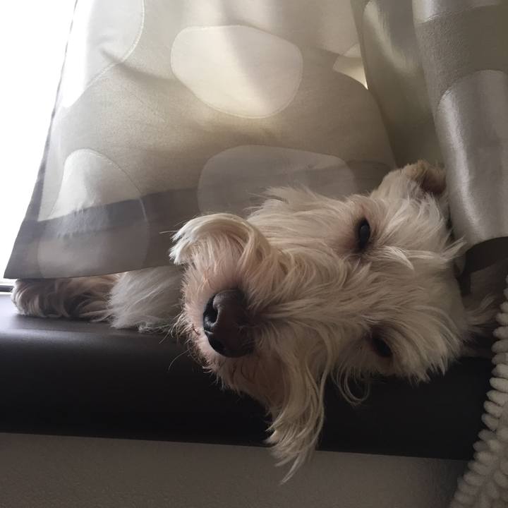 E9ed2c76 3bfb 4de2 a758 5c0b0f076842