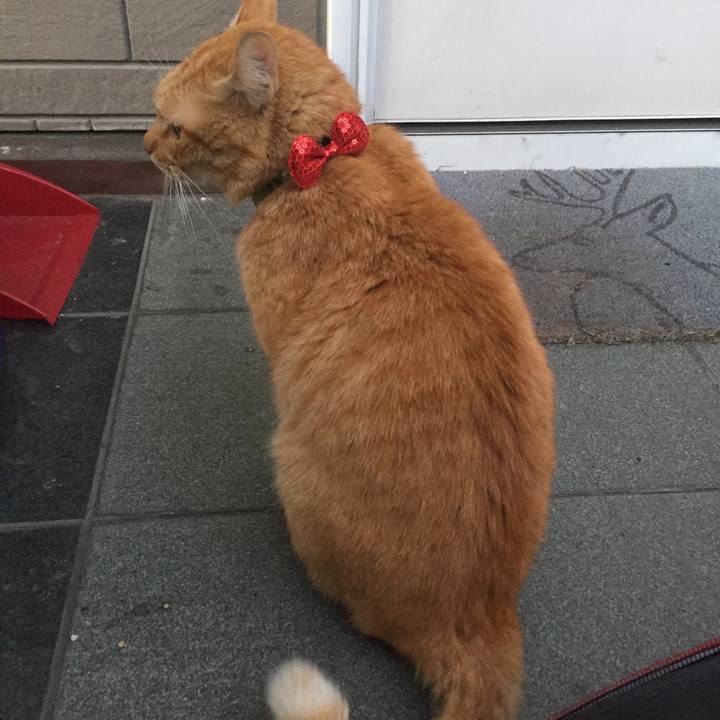 E9ee1a04 3b53 4c0d b636 0ffc2f903a3a