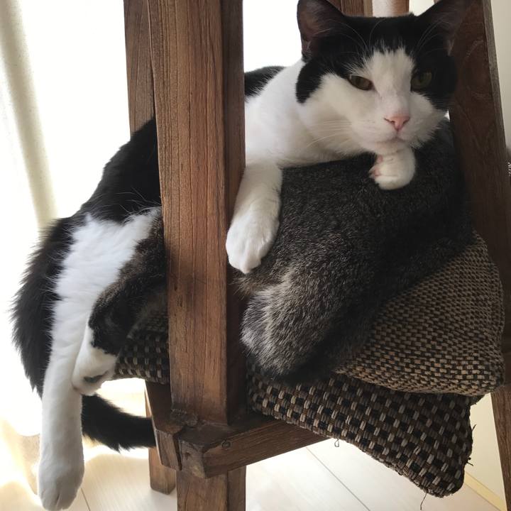 E9ee4313 3a86 49d4 a558 281297676a9c