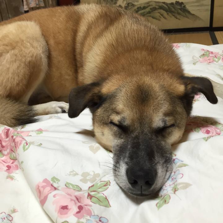 E9ee541a d189 4379 81ae 75dc6ac15107