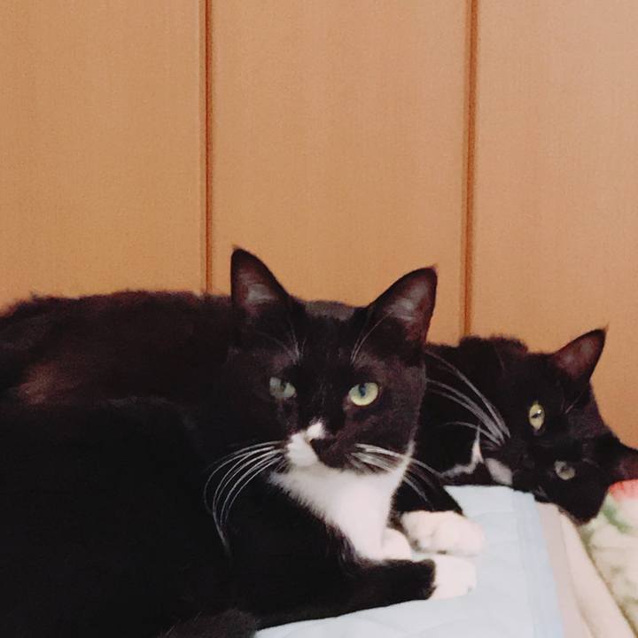 E9eea155 13ae 49cb a347 9e3cb9d32e4c