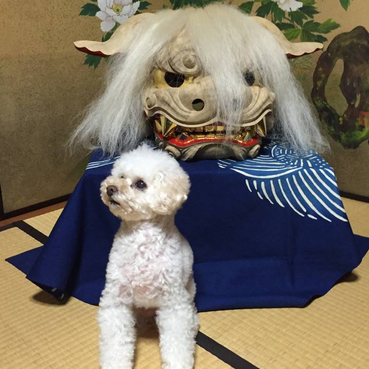 E9eef6b7 d138 4dc3 b7b6 5ffc238b9e41