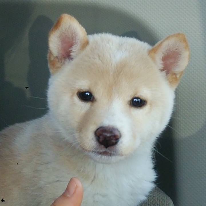 E9ef64fc 41e0 4121 b964 26b83aca766e