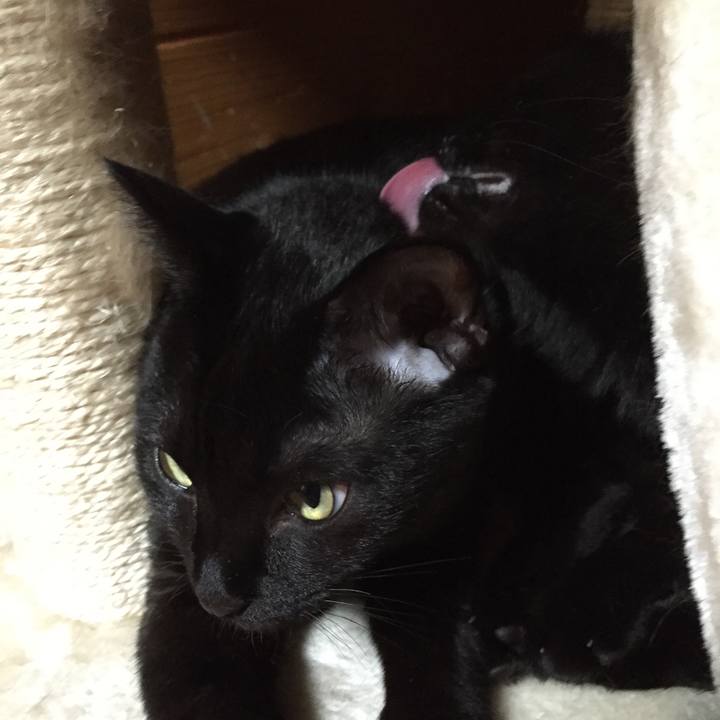 E9efa811 50a2 4411 ac96 7378be4a2bf7