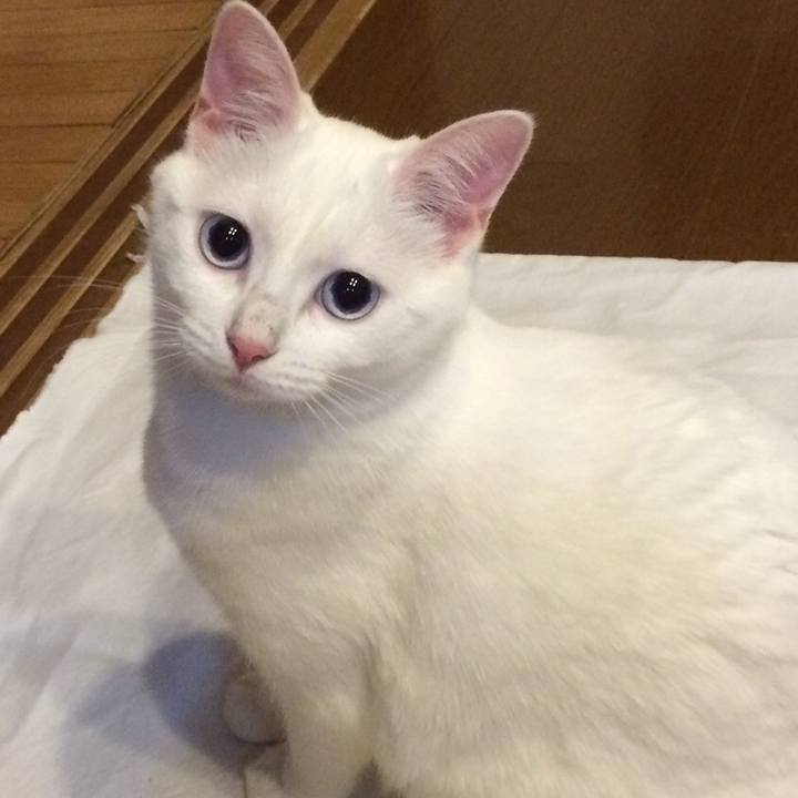 E9f00184 a2cd 4bea acf3 b62a8355f792