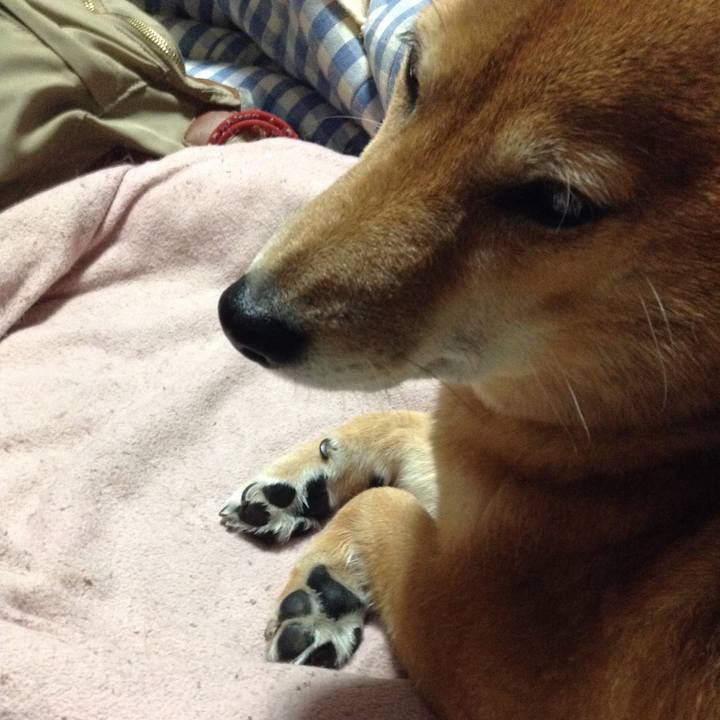 E9f00bb6 42d3 41ee 8038 3d5b08bb5f5a