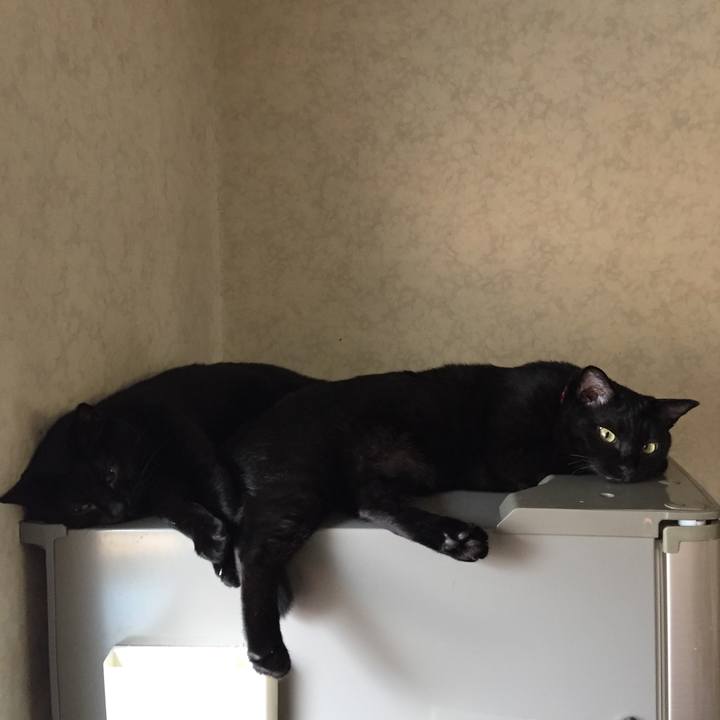 E9f01803 e5d5 41a5 932a cc975a31481c