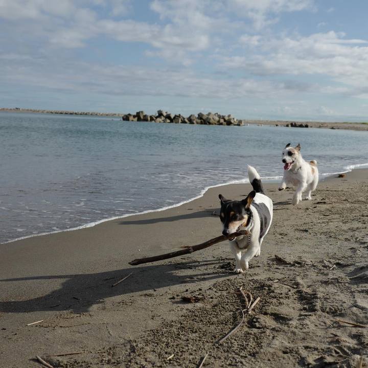 E9f0357a 1370 4493 b26c 88b627d3079a