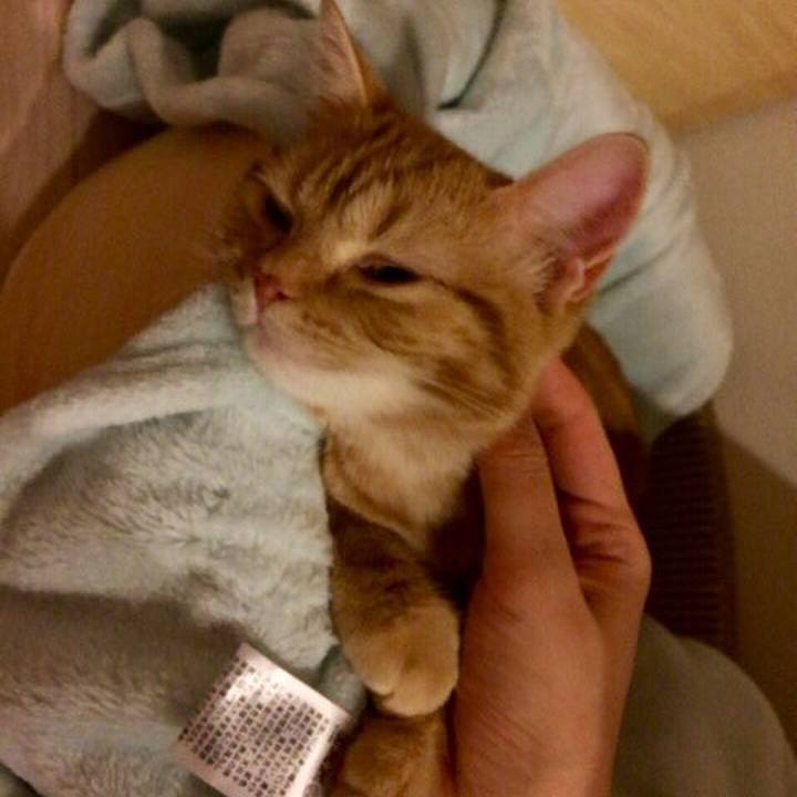 E9f04485 c0ec 4d79 a28d bf8ce74f65d1