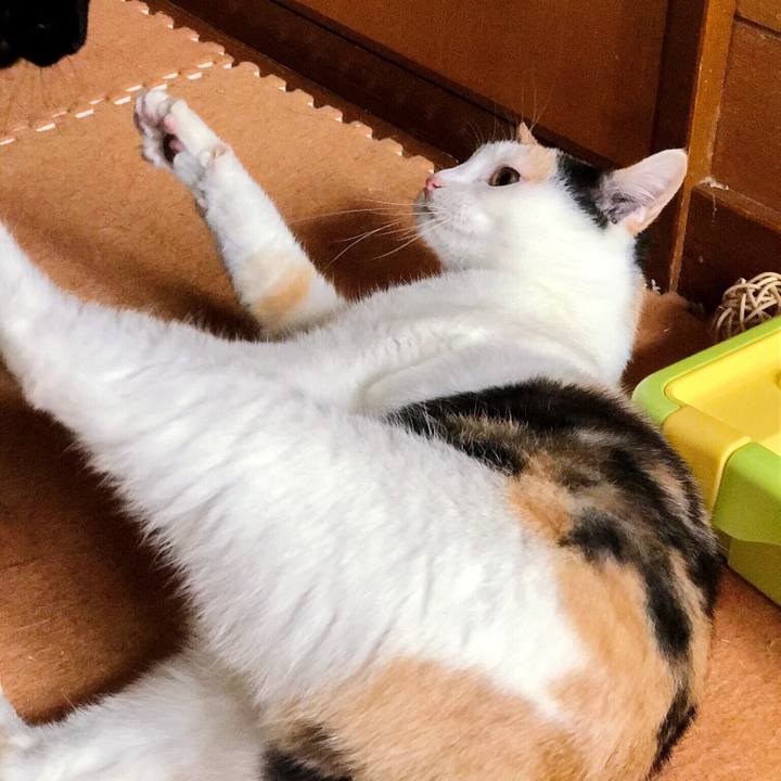 E9f065fe e540 473e 8cbf 1dac824f16b0