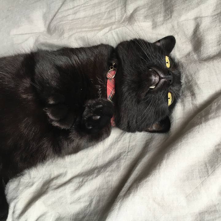 E9f102a0 189f 4e06 b55d 68e9cede4bf4