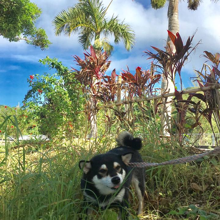 E9f16b42 8b9a 489b 8376 88bad452dbe2